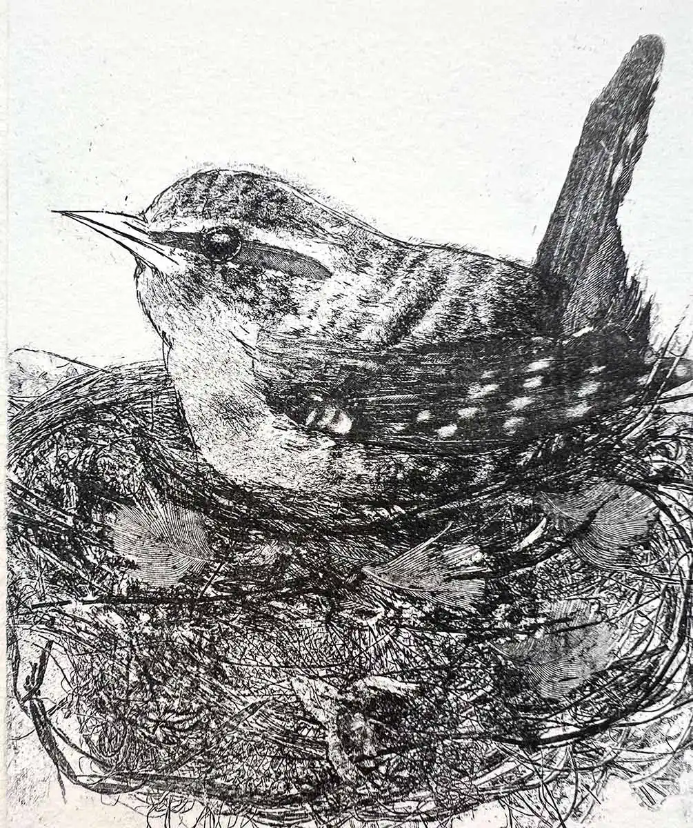 Sheila Roberts - Wren 26