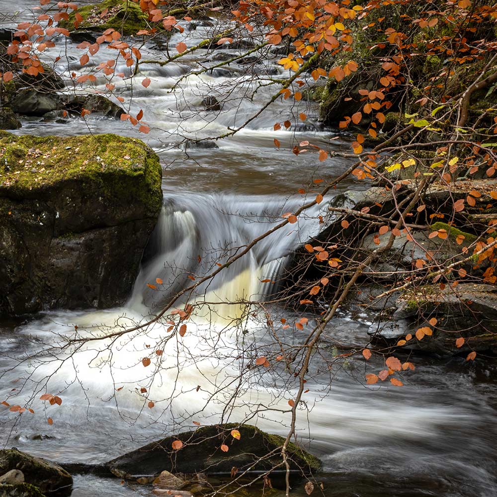 Helen Talbot - The foaming stream